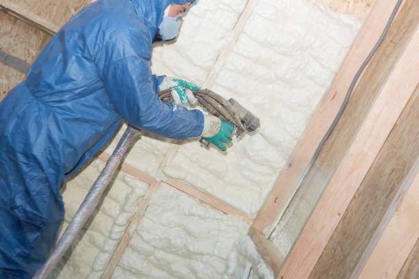 Best Blown-In Insulation  in Croydon, PA